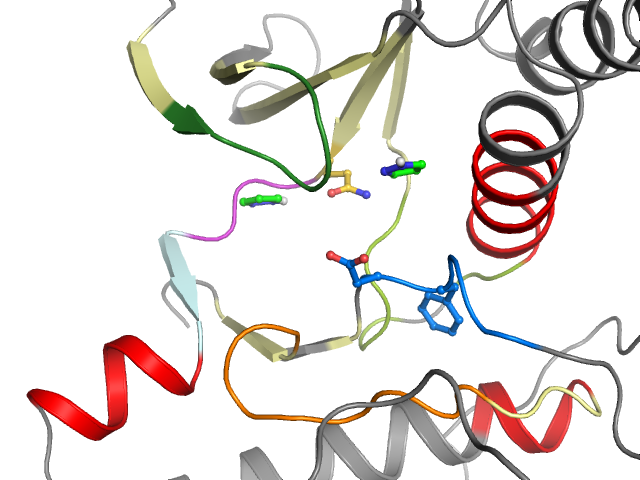 The orthosteric binding pocket