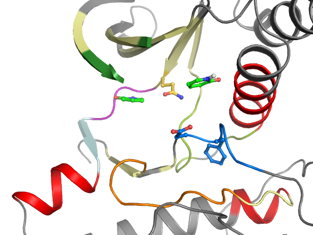 The orthosteric binding pocket