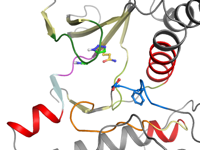 The orthosteric binding pocket