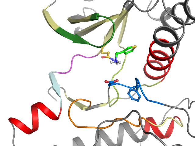 The orthosteric binding pocket