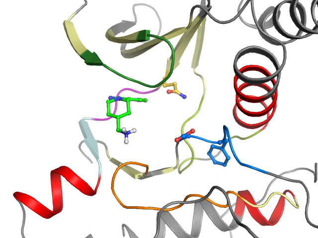 The orthosteric binding pocket
