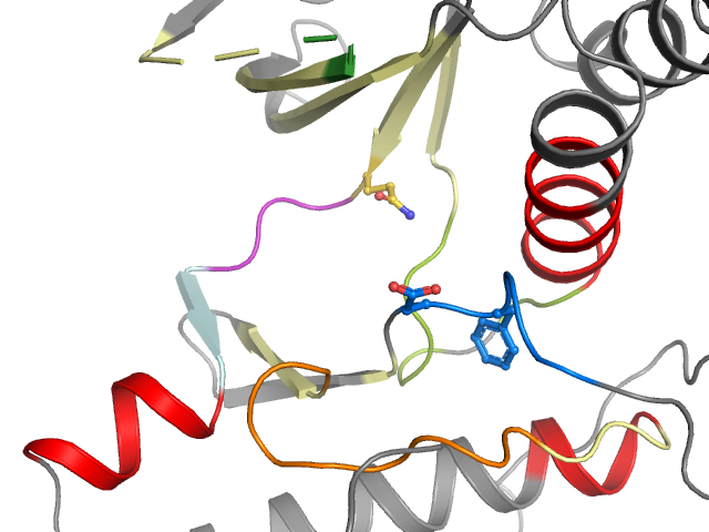 The orthosteric binding pocket