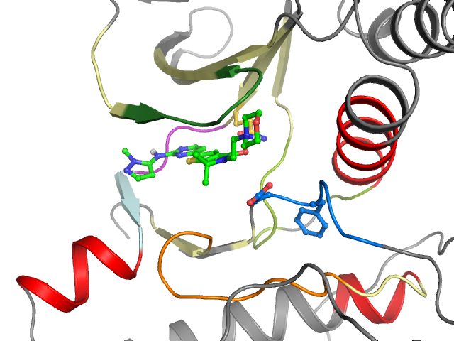 The orthosteric binding pocket