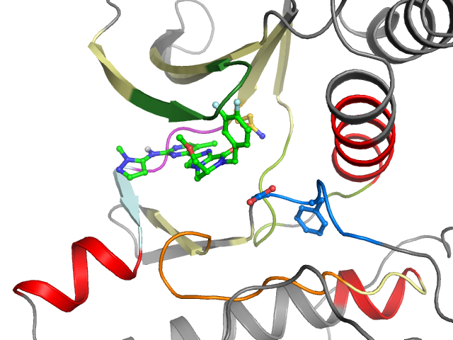 The orthosteric binding pocket