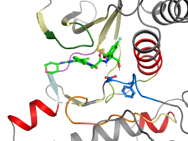 The orthosteric binding pocket