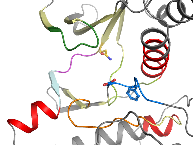 The orthosteric binding pocket