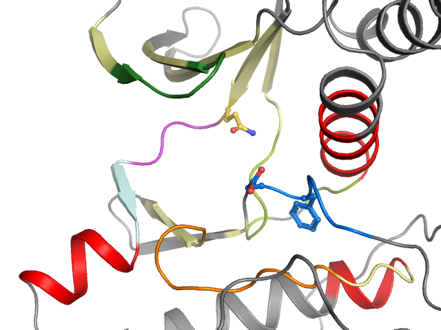The orthosteric binding pocket
