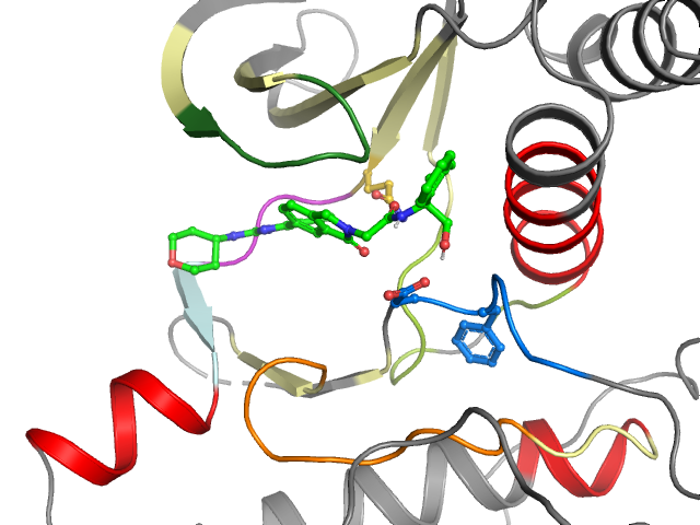 The orthosteric binding pocket