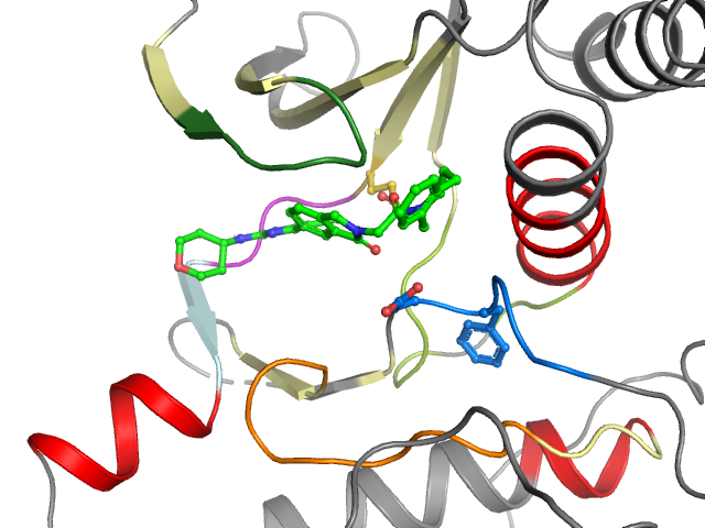 The orthosteric binding pocket