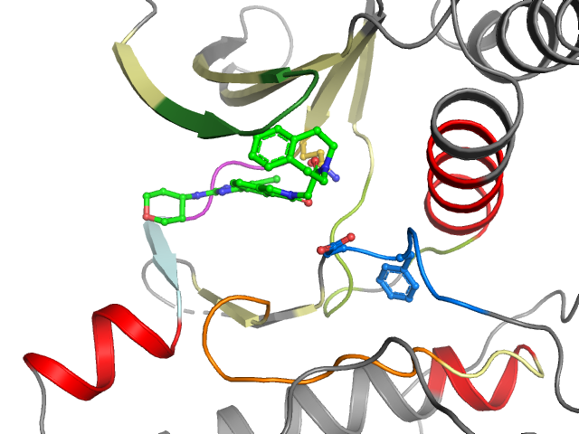 The orthosteric binding pocket
