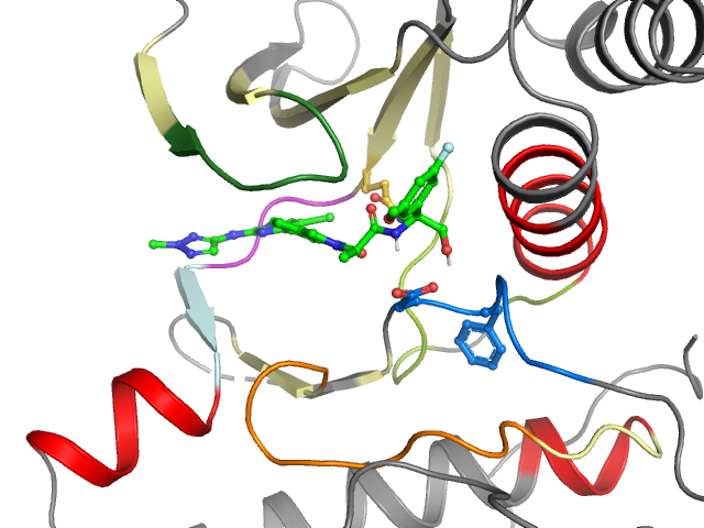 The orthosteric binding pocket