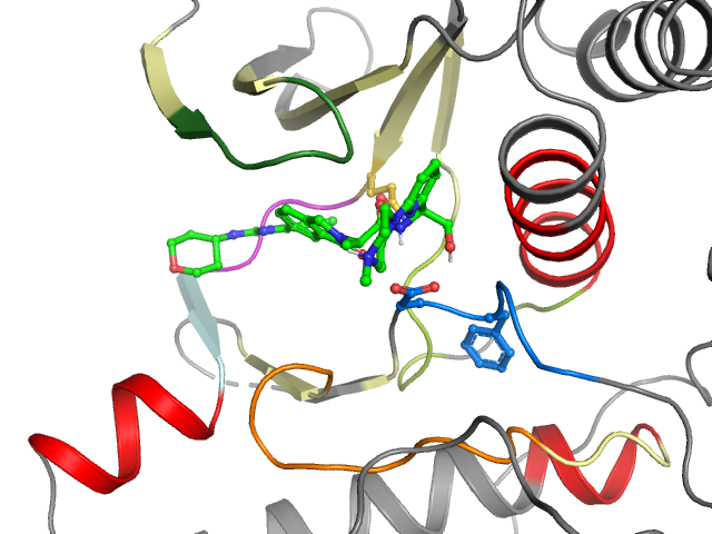 The orthosteric binding pocket