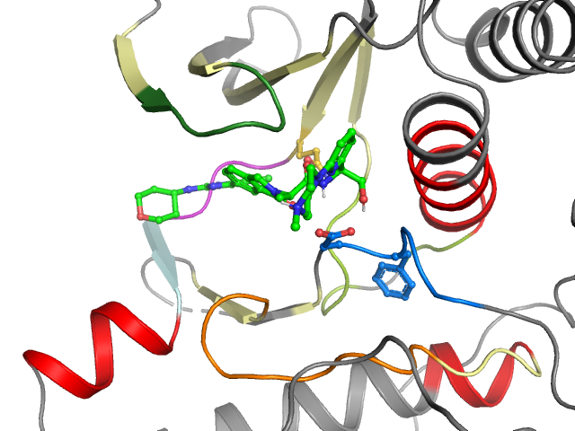 The orthosteric binding pocket