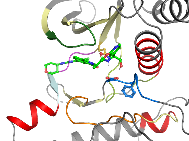 The orthosteric binding pocket