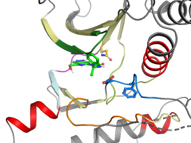 The orthosteric binding pocket