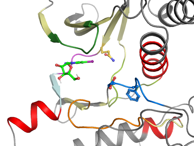 The orthosteric binding pocket
