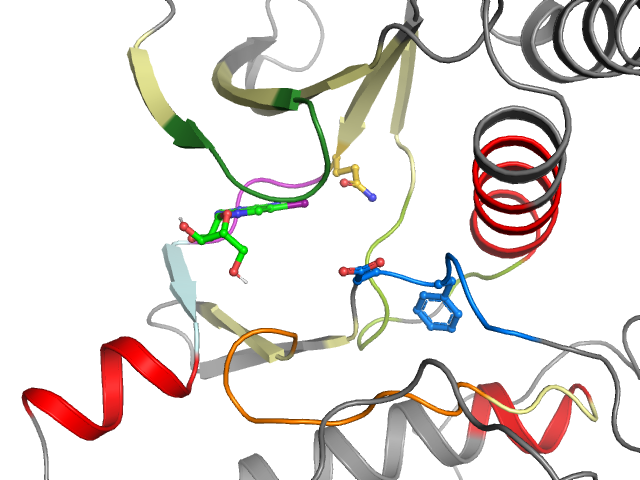 The orthosteric binding pocket