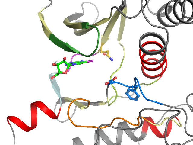 The orthosteric binding pocket