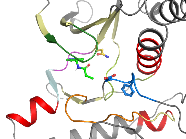 The orthosteric binding pocket