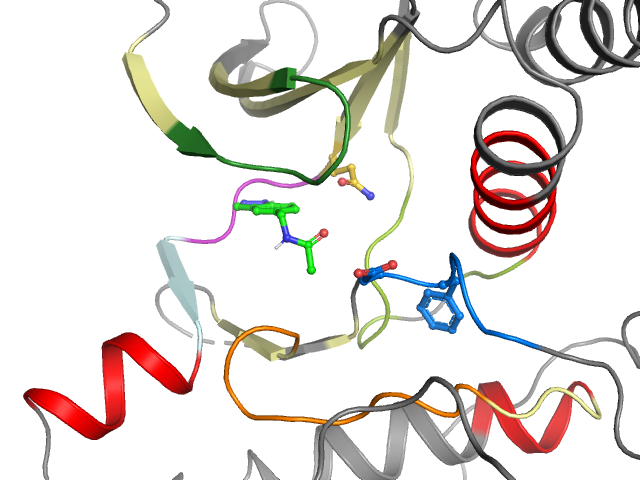 The orthosteric binding pocket