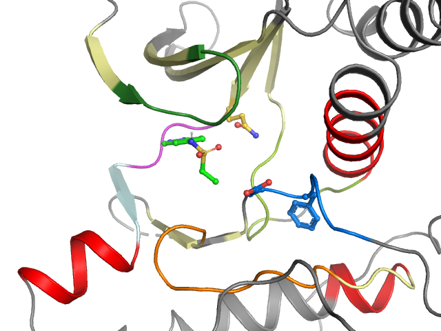 The orthosteric binding pocket