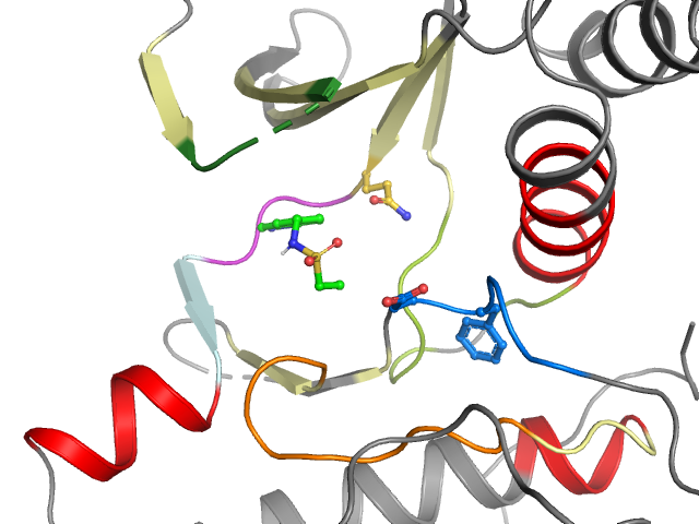 The orthosteric binding pocket