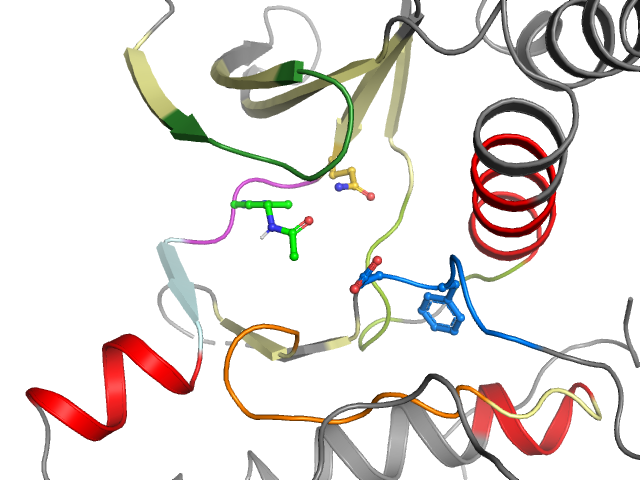 The orthosteric binding pocket
