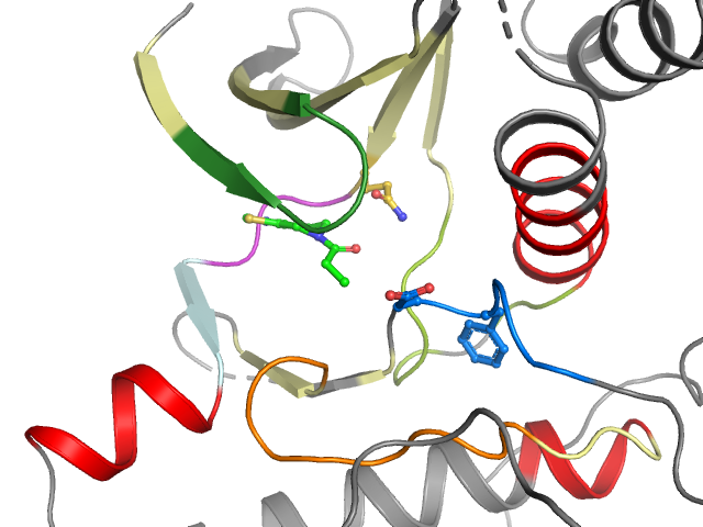 The orthosteric binding pocket