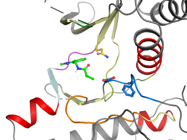 The orthosteric binding pocket