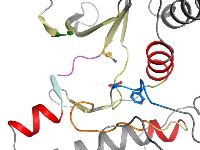 The orthosteric binding pocket