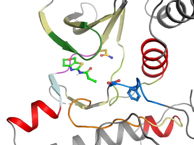 The orthosteric binding pocket