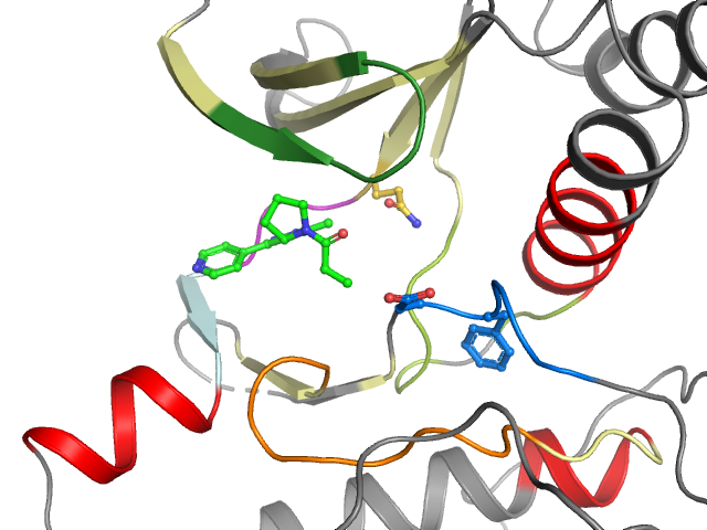 The orthosteric binding pocket