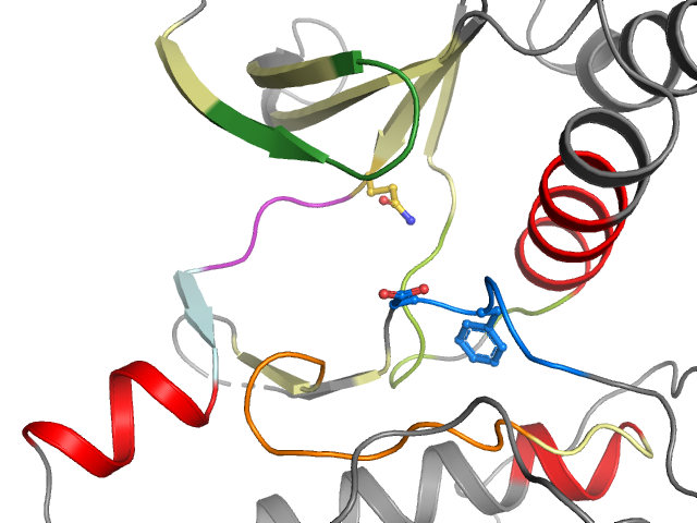 The orthosteric binding pocket