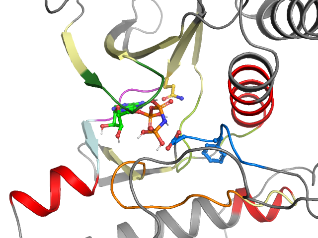 The orthosteric binding pocket