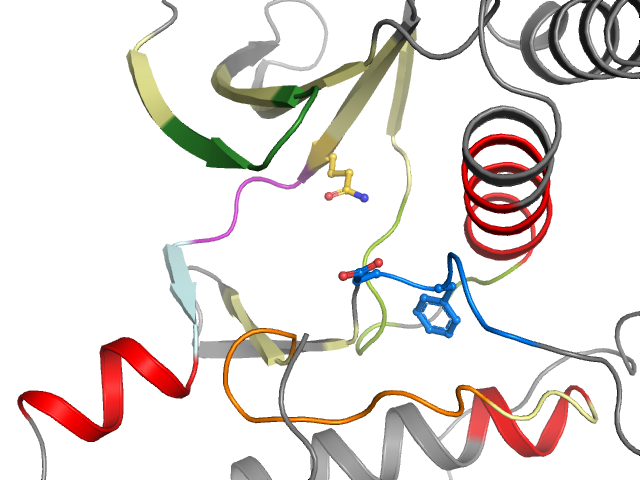 The orthosteric binding pocket