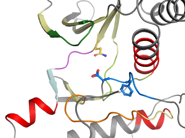 The orthosteric binding pocket