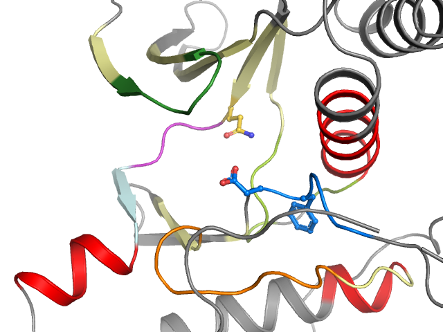 The orthosteric binding pocket