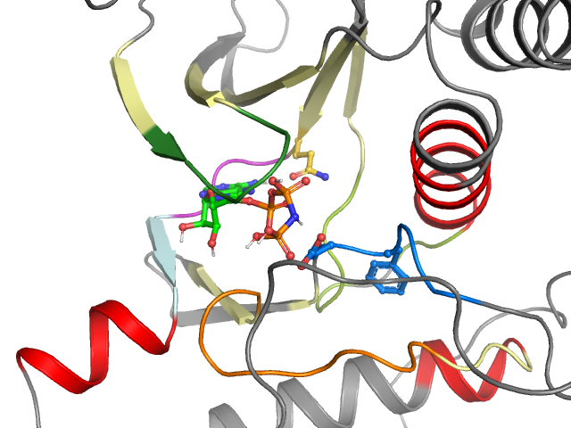 The orthosteric binding pocket