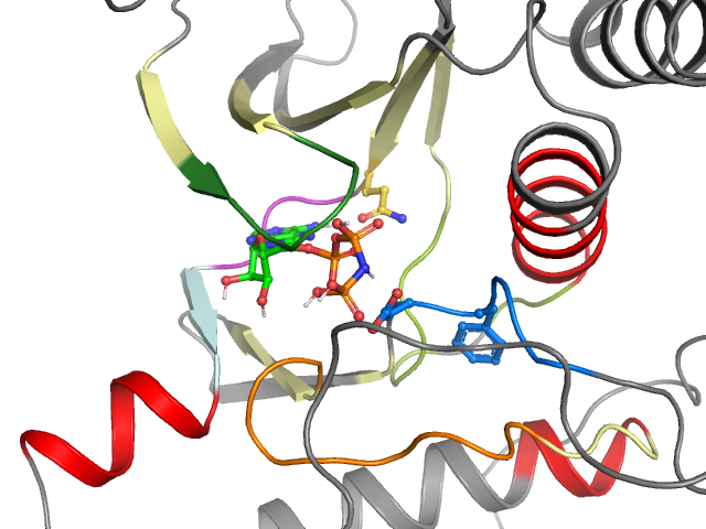 The orthosteric binding pocket
