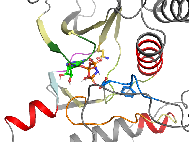 The orthosteric binding pocket