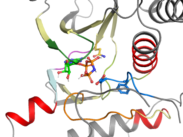 The orthosteric binding pocket