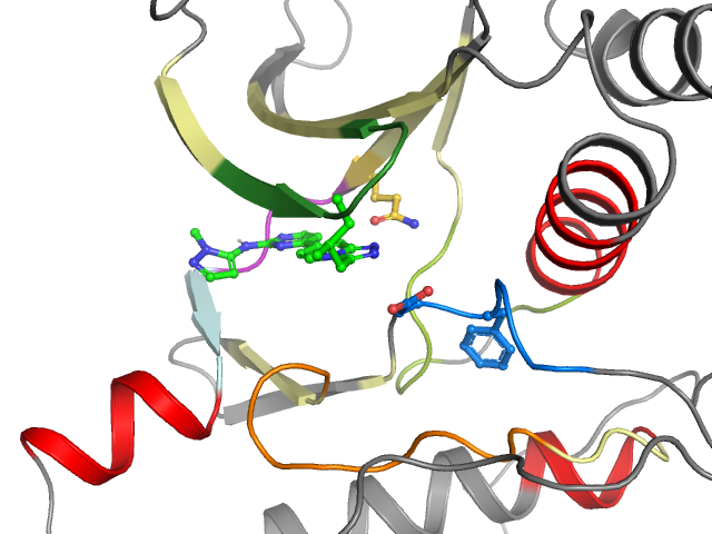 The orthosteric binding pocket