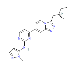 2D structure of the orthosteric ligand