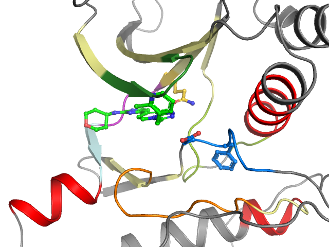 The orthosteric binding pocket