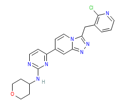 2D structure of the orthosteric ligand