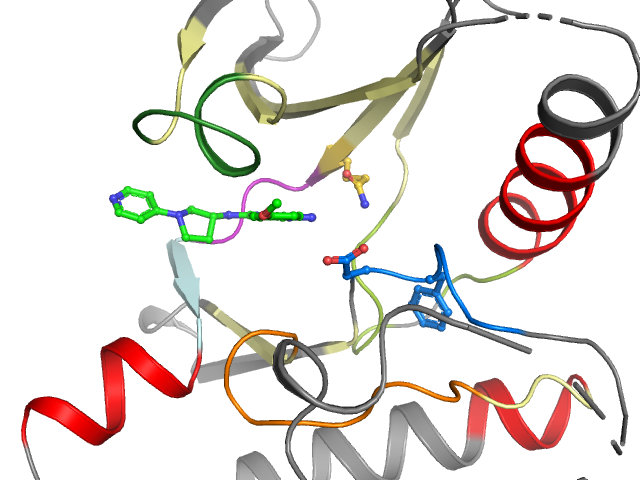 The orthosteric binding pocket