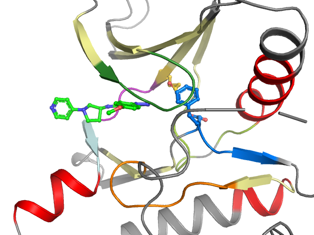 The orthosteric binding pocket