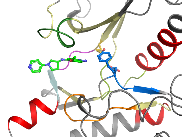 The orthosteric binding pocket