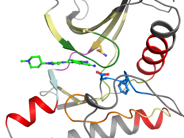 The orthosteric binding pocket