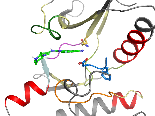 The orthosteric binding pocket